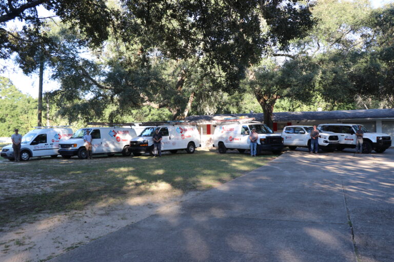 Tree-lined parking lot outside a commercial building